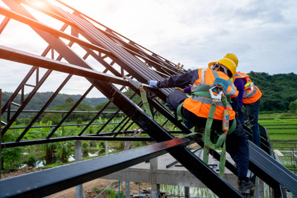 Best Roof Gutter Cleaning  in Lake Holiday, VA