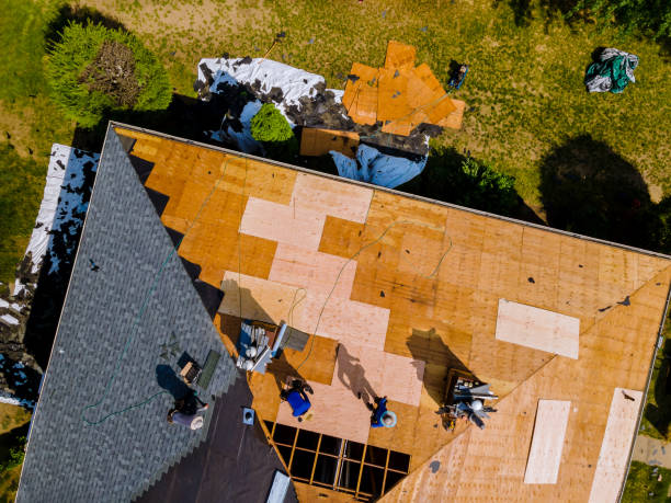 Best Roof Leak Repair  in Lake Holiday, VA